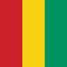 Guinea: Business E-VISA icon